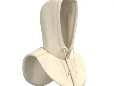 Padded Hood Warmer 3D model