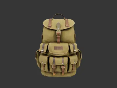 Survival Backpack Free low-poly 3D model