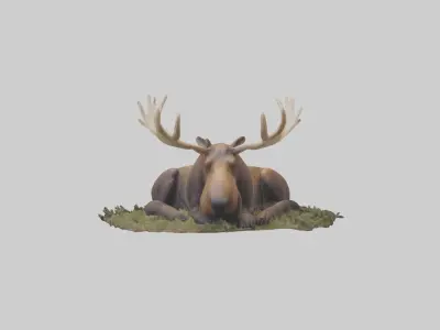 Sleeping Moose Model Low-poly 3D model