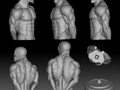 Side Triceps Pose 3D print model