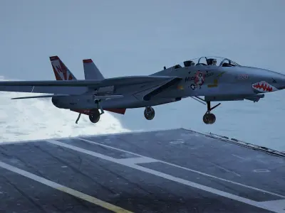 F-14 Miss Molly Free 3D model