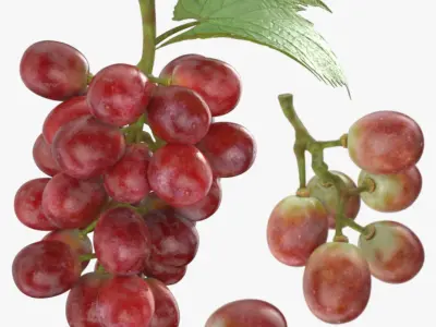 Ripe Red Grape Collection 3D model