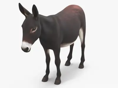  Working Donkey Standing Dark Brown 