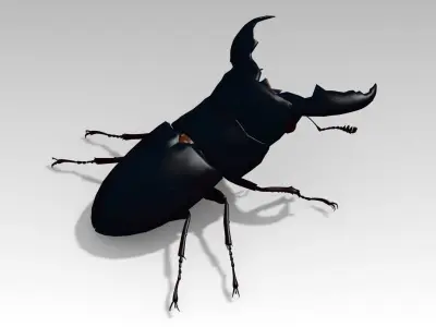Giant Stag Beetle Low-poly 3D model