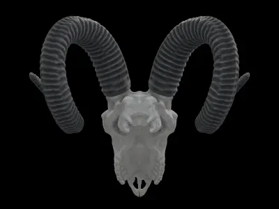 Ram Skull HighPoly Free 3D model