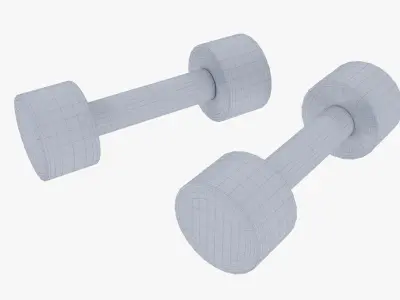 Dumbbell pair 3D model
