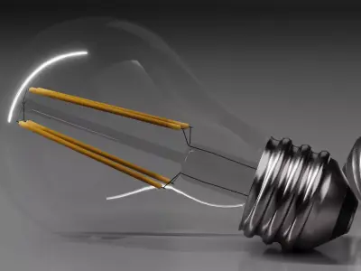 Realistic Light Bulb Set - Classic and Edison LED 3D model