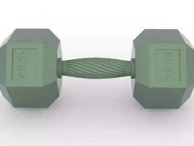 Hexagonal 10kg dumbbell with ergonomic knurled grip  3D model