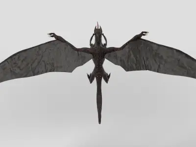 Dragon Low-poly 3D model 4