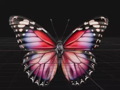 colorful butterfly  Free 3D model