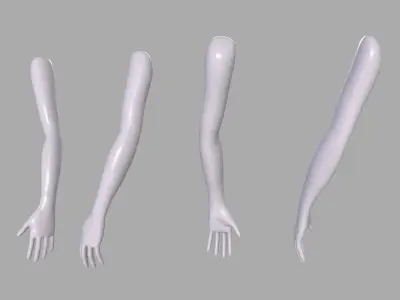 Female Arm Base sculpt mesh 3D model purchase
