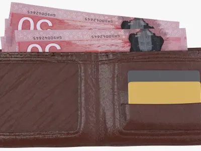 Canada 50 Dollar Wallet Money Purse 3D model