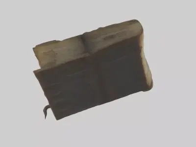 Cursedbook Model 1 Low-poly 3D model