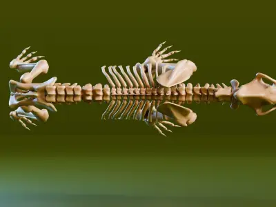 Relistic Mammals Fossil - Sabertooth Low-poly 3D model