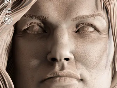 STAR WARS Care Dune Portrait Bust  3D print model