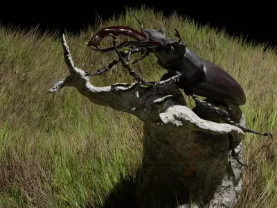 Stag beetle and ground 3D model