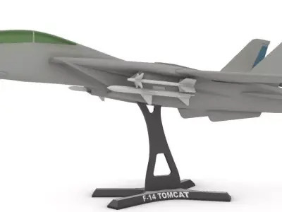 F 14 Tomcat  3D print model