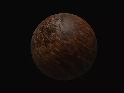 Fur PBR Material Free 3D model