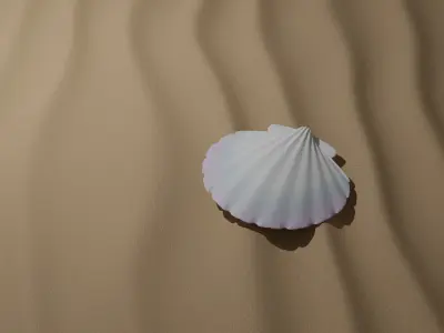 Shell seashell Free 3D model