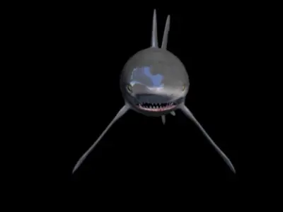 shark attack Low-poly 3D model