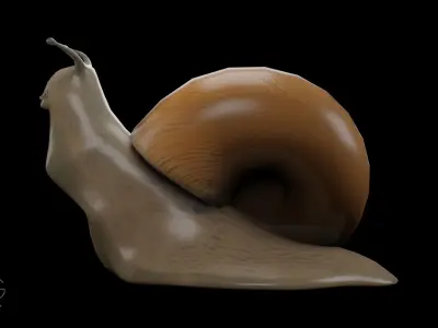 Snail Low-poly 3D model purchase