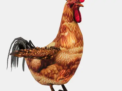Chicken With Nest Low-poly 3D model