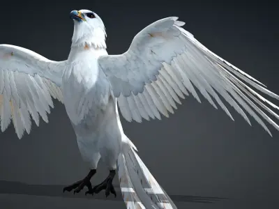 Hawk-A1 3D model