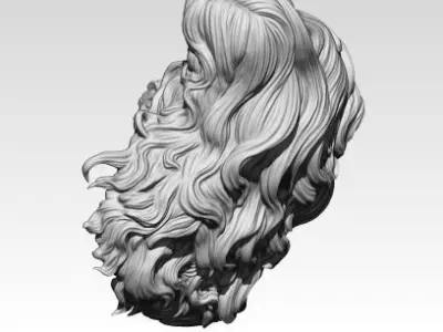 Woman Girl Hair 3D print model