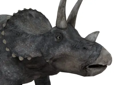 triceratops dinosaur Low-poly 3D model 3