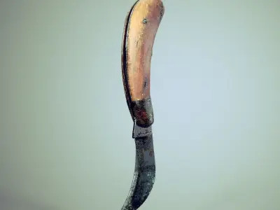 Old Curved Knife 3D model