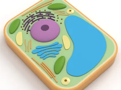 Plant Cell v2 3D model
