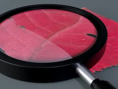 Magnifying Glass 3D model purchase