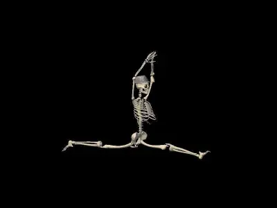 Skeleton-2 skeleton Low-poly 3D model