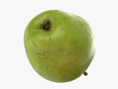  Pear Collection 