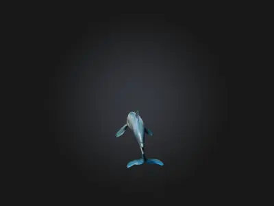 Realistic Hurt Dolphin Model Low-poly 3D model