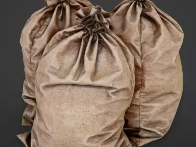 Bag from a Sacking PBR Game-Ready Low-poly 3D model