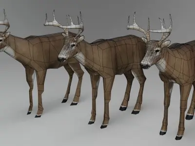 White-Tailed Deer Low-poly 3D model purchase