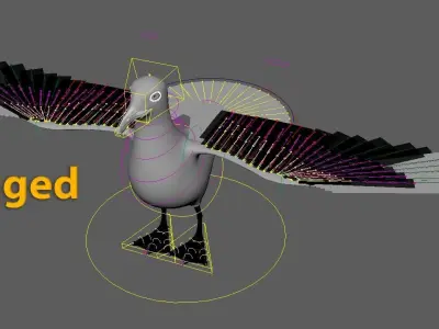 SEAGULL 3D model order