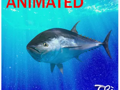 TUNA BLUEFIN 3D model