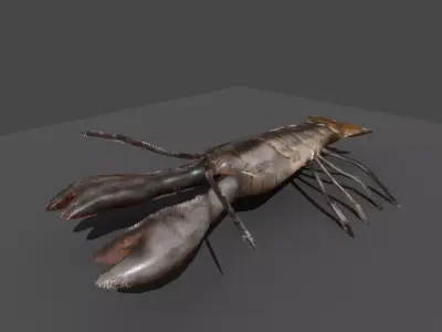 lobster with claws 3D model