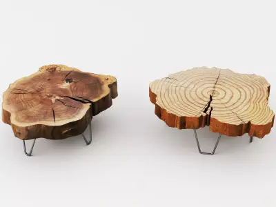 Live Edge Wood Slab Coffee Table Hairpin Legs Furniture Set PBR Low-poly 3D model