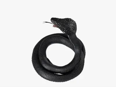  Cobra Snake Rigged 3D 