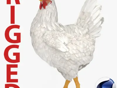 White Chicken Rigged for Cinema 4D 3D model