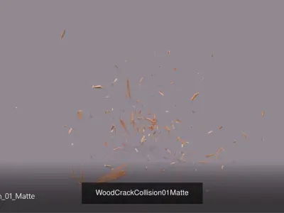 Wood Crack  and debris Pack