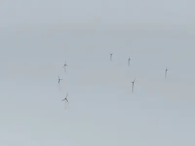 Woolnorth Wind Farm 2 Free 3D model