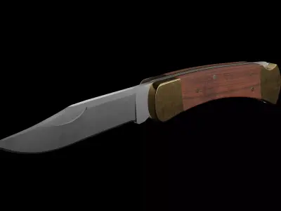 Knife buck 110 Free low-poly 3D model