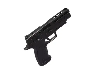 P320 AXG PRO 3D print model