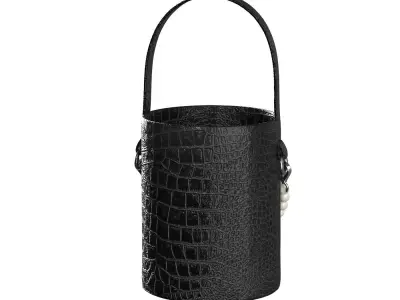 Pearl Handle Bucket Bag 3D model