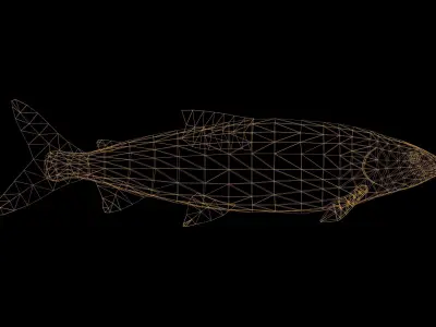 White Fish with Swimming Animation Low-poly 3D model