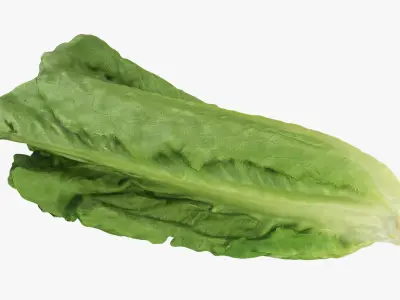  Lettuce Collection 1 